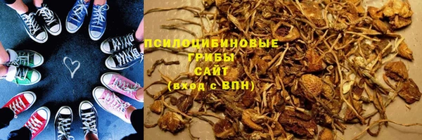 ГАЛЛЮЦИНОГЕННЫЕ ГРИБЫ Инсар