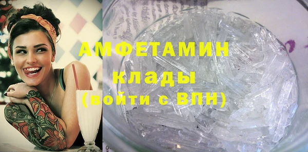 ГАЛЛЮЦИНОГЕННЫЕ ГРИБЫ Инсар