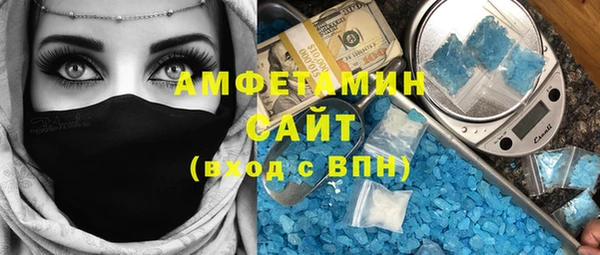 ГАЛЛЮЦИНОГЕННЫЕ ГРИБЫ Инсар