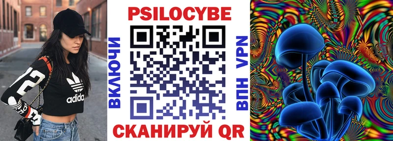 Купить  Монино  Галлюциногенные грибы Psilocybine cubensis 